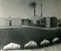 Kassengebied in Westland
